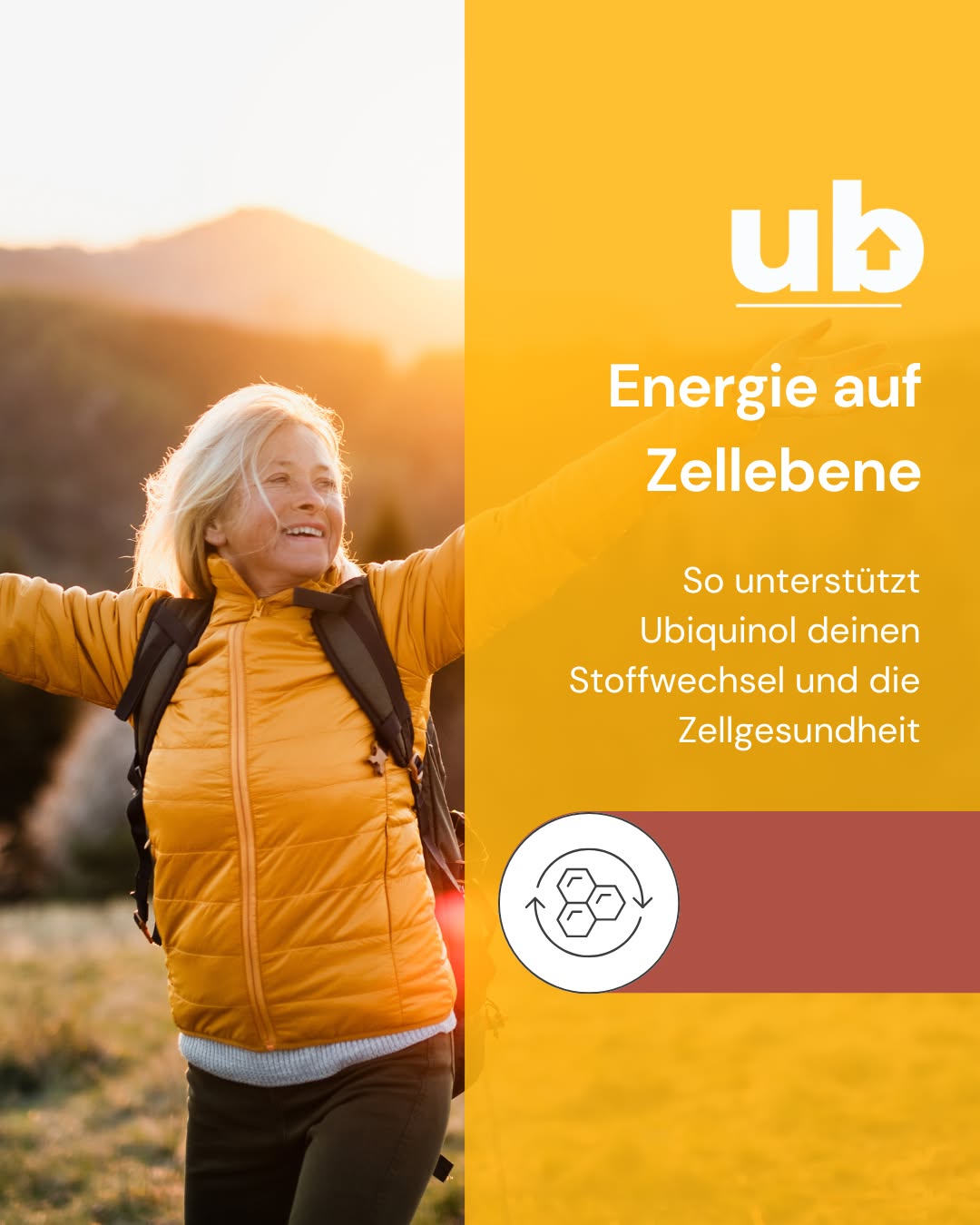Jede einzelne Zelle in deinem Körper braucht Energie, um optimal zu funktionieren – und genau hier spielt Ubiquinol eine zentrale Rolle. Als aktive Form von Coenzym Q10 ist es ein essenzieller Bestandteil der mitochondrialen Atmungskette, dem Prozess, bei dem Nährstoffe in ATP (Adenosintriphosphat), die universelle Energiequelle des Körpers, umgewandelt werden. 🔋✨ 

Gleichzeitig wirkt Ubiquinol als starkes Antioxidans und schützt die Zellen vor oxidativem Stress, der durch Umweltfaktoren, Krankheiten oder Alterungsprozesse entsteht. Doch mit den Jahren oder bei hoher körperlicher Belastung nimmt die körpereigene Produktion von Ubiquinol ab – was sich in Müdigkeit, nachlassender Leistungsfähigkeit und Muskelbeschwerden äußern kann. 

Eine gezielte Ubiquinol-Ergänzung kann helfen, den Zellstoffwechsel zu optimieren, die Energieproduktion zu stabilisieren und die Zellen langfristig zu schützen – für mehr Vitalität und Leistungsfähigkeit auf allen Ebenen! 💪✨ 

Mehr dazu auf 👉 www.ubiquinol.info