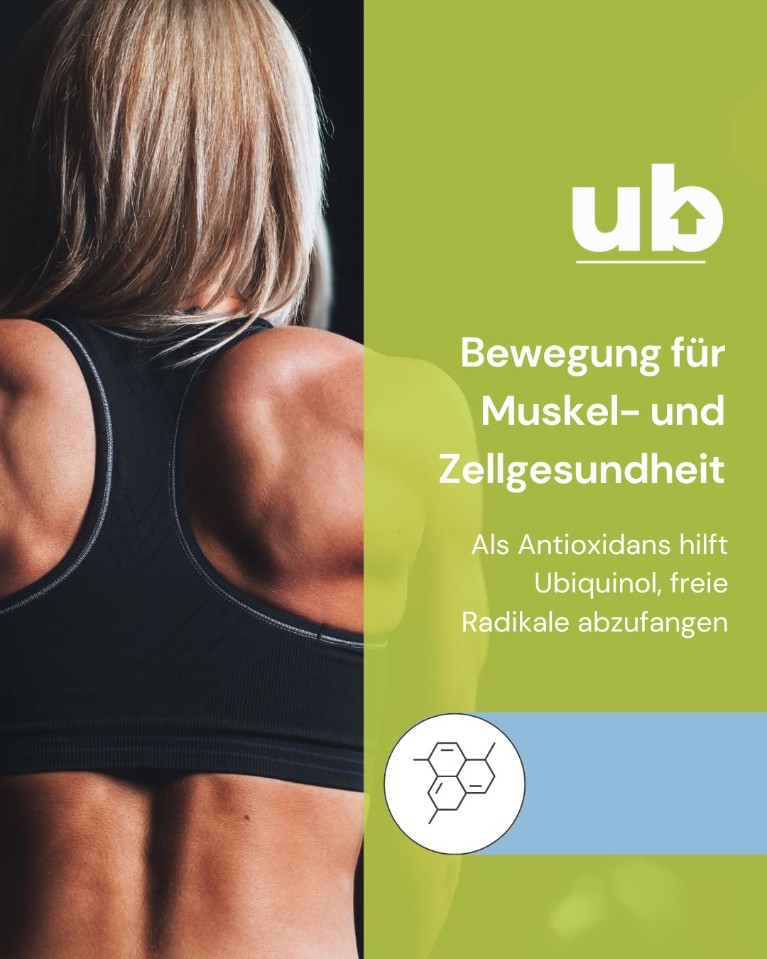 Bewegung stärkt nicht nur Muskeln, sondern auch deine Zellen 🏃‍♀️⚡️🧬 

Wenn du dich regelmäßig bewegst, passiert „innen drin” viel: 

• Mehr Mitochondrien: Training setzt Signale für „neue Kraftwerke“ (Mitochondrien-Biogenese). Deine Zellen werden ausdauernder. 
• Effizientere Energiegewinnung: Substrate (Fette/Kohlenhydrate) werden besser in ATP umgewandelt. 
• Optimierter Zellschutz: Der Körper stärkt sein eigenes antioxidatives System. Das ist wichtig, weil Belastung vorübergehend oxidativen Stress erhöht. 

Wo Ubiquinol ins Spiel kommt: 
• Ubiquinol, die aktive Form von Q10, ist ein zentrales Glied der mitochondrialen Atmungskette und unterstützt die ATP-Bildung. 
• Antioxidativer Puffer: Als Antioxidans hilft Ubiquinol, freie Radikale in Membranen abzufangen. Das ist relevant bei intensiven Einheiten und für die Regeneration. 
• Synergie mit Bewegung: Regelmäßiges Training + Ubiquinol kann die zelluläre Leistungsfähigkeit unterstützen 

#Ubiquinol #CoQ10 #Zellenergie #Mitochondrien #ATP #Training #Regeneration #Ausdauer #Krafttraining #HealthyHabits