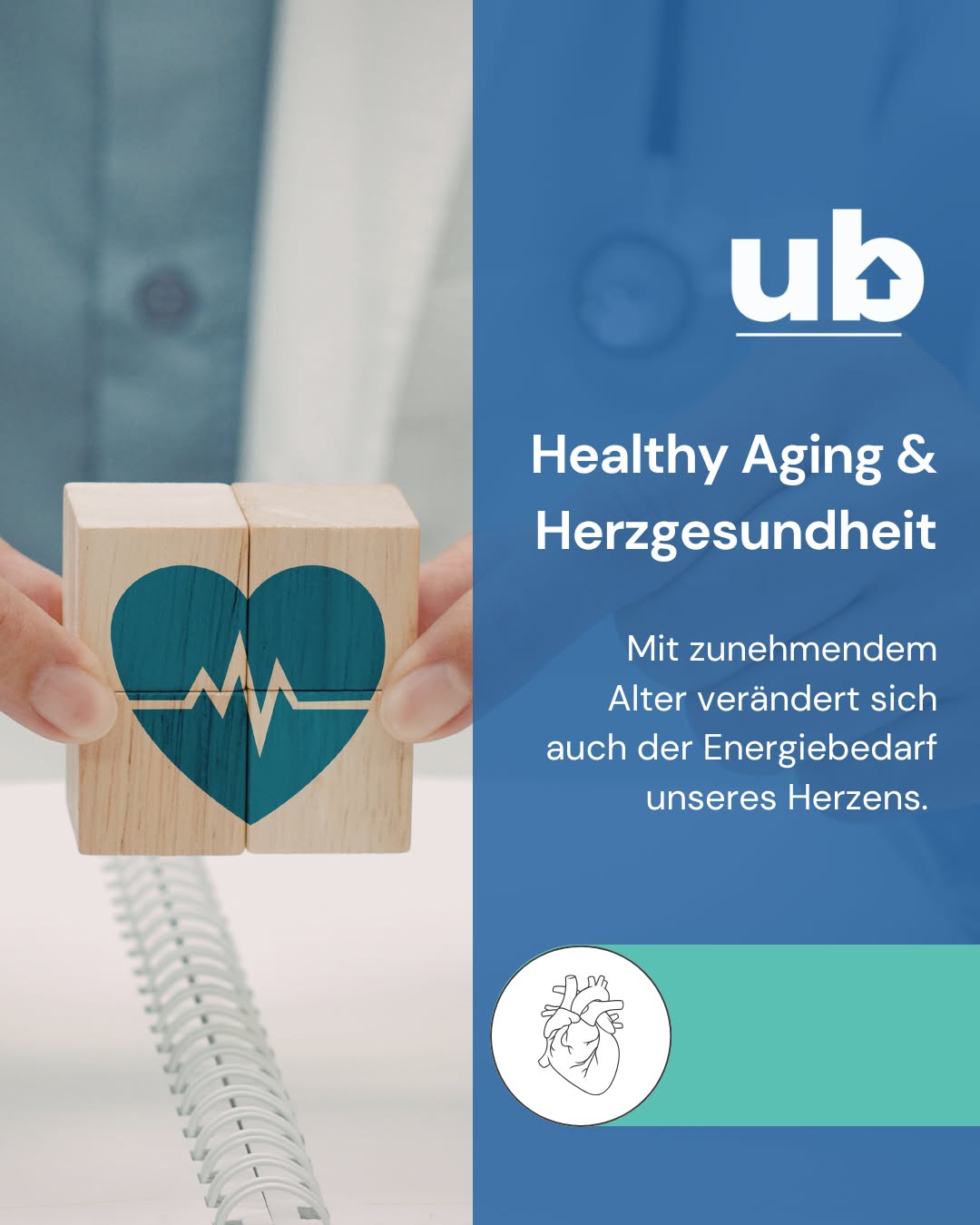 Mit zunehmendem Alter verändert sich auch der Energiebedarf unseres Herzens ❤️. Da das Herz ohne Unterbrechung arbeitet, gehört es zu den energieintensivsten Organen des Körpers 💓. Gleichzeitig steigt mit dem Alter die Belastung durch oxidativen Stress, der die Zellen zusätzlich beansprucht 🔬. 

Ubiquinol, die aktive Form von Coenzym Q10, spielt eine wichtige Rolle bei der mitochondrialen Energieproduktion. Zudem wirkt Ubiquinol als Antioxidans und kann dazu beitragen, die Zellen vor oxidativem Stress zu schützen. ❤️ 

Im höheren Alter gewinnen daher Themen wie Herzgesundheit, Energie im Alltag und Zellschutz zunehmend an Bedeutung 🌿. 

👉 Eine ausreichende Versorgung mit Ubiquinol kann dazu beitragen, die zelluläre Energieproduktion zu unterstützen und zur Herzgesundheit beizutragen 💪. 

Denn: Ein starkes Herz braucht ein Leben lang Energie. ❤️✨ 

#Ubiquinol #Herzgesundheit #GesundesAltern #ZellEnergie #Antioxidantien #OxidativerStress #Vitalität