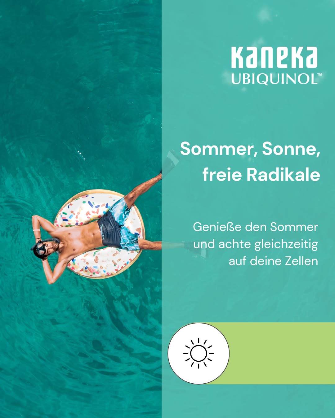 Sommer, Sonne, freie Radikale. ☀️ 

Klingt weniger romantisch als der Sommer-Vibe, ist aber real: UV-Strahlung gehört zu den stärksten externen Auslösern von oxidativem Stress. Jedes Mal, wenn die Sonne auf deine Haut trifft, entstehen freie Radikale in deinen Zellen – hochreaktive Moleküle, die Membranen, Proteine und DNA angreifen können. 

Dein Körper hat Schutzmechanismen dafür. Antioxidanzien sind einer davon. Und Ubiquinol ist eines der wirksamsten, die er selbst herstellt. 🛡️ 

Als fettlösliches Antioxidans ist es direkt in der Zellmembran aktiv – genau dort, wo oxidativer Stress ansetzt. Es gibt Elektronen an freie Radikale ab und hilft dabei, Vitamin E zu regenerieren. Ein Antioxidans, das andere Antioxidanzien unterstützt. ♻️ 

Das Problem: Mit zunehmendem Alter produziert der Körper weniger Ubiquinol. Gleichzeitig steigt die kumulative Belastung durch oxidativen Stress. 

Genieße den Sommer und achte gleichzeitig auf deine Zellen. ☀️🛡️ 

#Ubiquinol #CoenzymQ10 #OxidativerStress #FreieRadikale #Zellschutz #Antioxidanzien #Hautgesundheit #Longevity #Biohacking #Supplements #GesundLeben #Zellgesundheit #Sommer