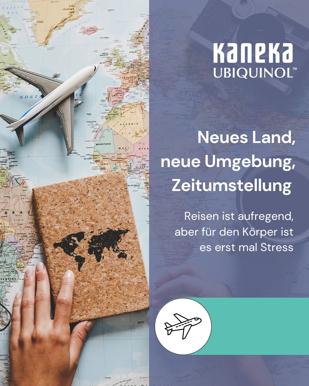 Neues Land, neue Umgebung, Zeitumstellung 🌍 

Reisen ist aufregend, aber für den Körper ist es erst mal Stress. Neue Zeitzonen, ungewohnte Ernährung, mehr Bewegung als sonst, weniger Schlaf als geplant. Der Organismus passt sich an, reguliert, kompensiert. Rund um die Uhr. 

All das kostet Energie. Und Energie bedeutet auf zellulärer Ebene immer dasselbe: ATP. ⚡ 

ATP entsteht in den Mitochondrien – den Kraftwerken deiner Zellen. Ubiquinol ist dort ein zentraler Bestandteil der Atmungskette, dem Prozess, über den diese Energie produziert wird. 

Dazu kommt: Bei hoher körperlicher und mentaler Belastung – langen Reisetagen, Zeitverschiebung, vollem Programm – steigt die Menge an freien Radikalen im Körper. Als körpereigenes Antioxidans hilft Ubiquinol, diese unschädlich zu machen. 🛡️ 

Der Körper stellt Ubiquinol selbst her. Aber mit zunehmendem Alter produziert er weniger davon. 
 
Merkst du bei langen Reisetagen einen Unterschied in deinem Energielevel? Schreib es in die Kommentare👇 
 

#Ubiquinol #CoenzymQ10 #Reisen #Travel #Energie #ATP #Mitochondrien #Zellenergie #Aktiv #Longevity #Biohacking #Supplements #Zellgesundheit #GesundReisen #Energiestoffwechsel