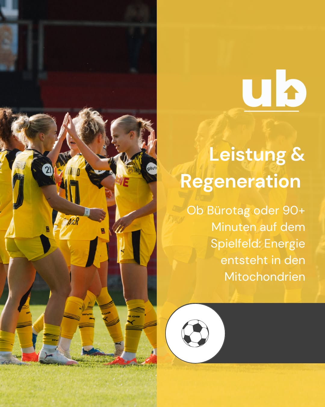 Ob Bürotag oder 90+ Minuten auf dem Spielfeld: Energie entsteht in den Mitochondrien als ATP. Ubiquinol, die aktive Form von Coenzym Q10 unterstützt die Energieproduktion in den Zellen und wirkt antioxidativ. Sinnvoll, wenn die Belastung hoch ist und die Zellen ausreichend Energie & Schutz brauchen. 

Was unterscheidet Männer und Frauen? 
• Belastungsverträglichkeit & Zyklus (Frauen): Trainingsreize und Regeneration können sich je nach Zyklusphase unterscheiden; Eisenstatus und ausreichende Energiezufuhr besonders im Blick behalten. 
• Absolute Mengen (Männer): Durch mehr Muskelmasse oft höherer absoluter Bedarf an Energie & Protein – Regeneration profitiert stark von Schlaf & Parasympathikus-Aktivierung. 
 
Wo Ubiquinol ins Spiel kommt: 
Als Baustein einer ganzheitlichen Routine kann Ubiquinol die zelluläre Energiebereitstellung unterstützen und oxidativen Stress abfangen – relevant für Leistung & Regeneration bei Frauen und Männern. 

Bei den BVB-Frauen gilt: Cleveres Energiemanagement entscheidet – im Alltag, im Training und am Spieltag. 🟡⚫️ 

#Leistung #Regeneration #Ubiquinol #CoQ10 #Zellenergie #FrauenImSport #MännerImSport #BVB #BVBFrauen #HejaBVB #Recovery #Sporternährung