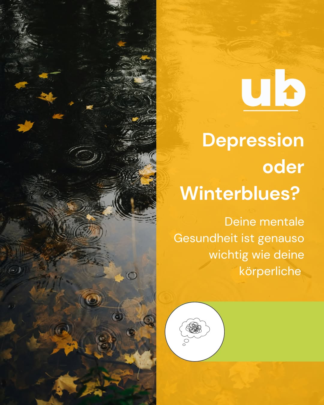 Depression oder Winterblues? 💙🌧️→🌤️ 

Deine mentale Gesundheit ist genauso wichtig wie deine körperliche und verdient Aufmerksamkeit, Zeit und Pflege. 
Der Winterblues fühlt sich oft saisonal, milder und vorübergehend an. Wenn aber Traurigkeit, Antriebslosigkeit oder Hoffnungslosigkeit über mehr als zwei Wochen anhalten (ggf. mit Schlaf-/Appetitveränderungen), kann es eine Depression sein. Hilfe zu suchen, ist kein Zeichen von Schwäche, sondern von Stärke. 💛 

Was dir guttun kann: 
• Tageslicht & Bewegung 
• Regelmäßiger Schlaf & warme Routinen für dich. 
• Nährstoffreich essen und Pausen ernst nehmen. 
• Zellenergie unterstützen: Ubiquinol (aktive Form von Q10) ist Teil der mitochondrialen Energieproduktion und wirkt antioxidativ – als Baustein in deiner Self-Care-Routine.* 

* Nahrungsergänzungen ersetzen keine Therapie und keine ausgewogene Ernährung. Bei anhaltender Niedergeschlagenheit bitte ärztlich/psychologisch abklären lassen. In akuten Krisen: wende dich an den Notruf (z. B. 112) oder an regionale Krisendienste. 

#MentaleGesundheit #Winterblues #Depression #SelfCare #DuBistWichtig #Ubiquinol #CoQ10 #Zellenergie #Achtsamkeit