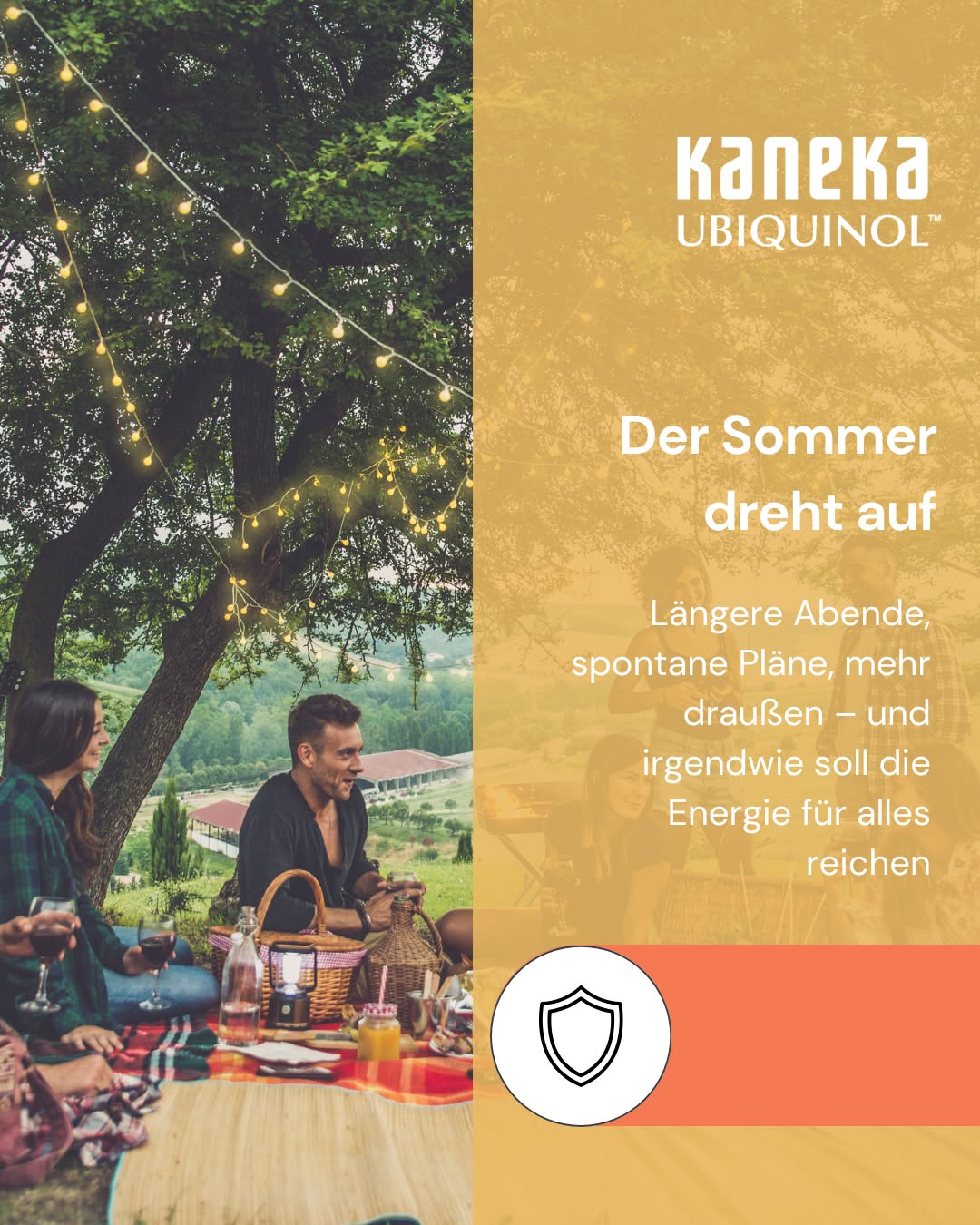Der Sommer dreht auf. ☀️ 

Längere Abende, spontane Pläne, mehr draußen – der Sommer lädt ein, das Leben ein bisschen voller zu genießen. Morgens laufen, nachmittags ans Wasser, abends mit Freunden beisammen sein. Und irgendwie soll die Energie für alles reichen. 

Was dabei oft vergessen wird: Hinter jedem aktiven Tag steckt zelluläre Arbeit. 

Jede Bewegung, jedes Lachen, jede späte Runde fordert Energie, auch ATP genannt, das in deinen Mitochondrien sekündlich neu produziert wird. ⚡ 

Ubiquinol ist ein zentraler Bestandteil genau dieses Prozesses. Als Teil der Atmungskette transportiert es Elektronen zwischen den Proteinkomplexen der Mitochondrien und ohne diesen Schritt stockt die Energieproduktion. 

Und: intensive Aktivität produziert gleichzeitig auch mehr freie Radikale. Ubiquinol wirkt als fettlösliches Antioxidans direkt in der Zellmembran dagegen an. 🛡️ 

Wie sehen deine aktivsten Sommertage aus? 👇 

#Ubiquinol #CoenzymQ10 #Sommer #Summer #Energie #ATP #Mitochondrien #Outdoor #Sport #Freunde #Longevity #Biohacking #Supplements #Zellgesundheit #Zellenergie #GesundLeben #Aktiv