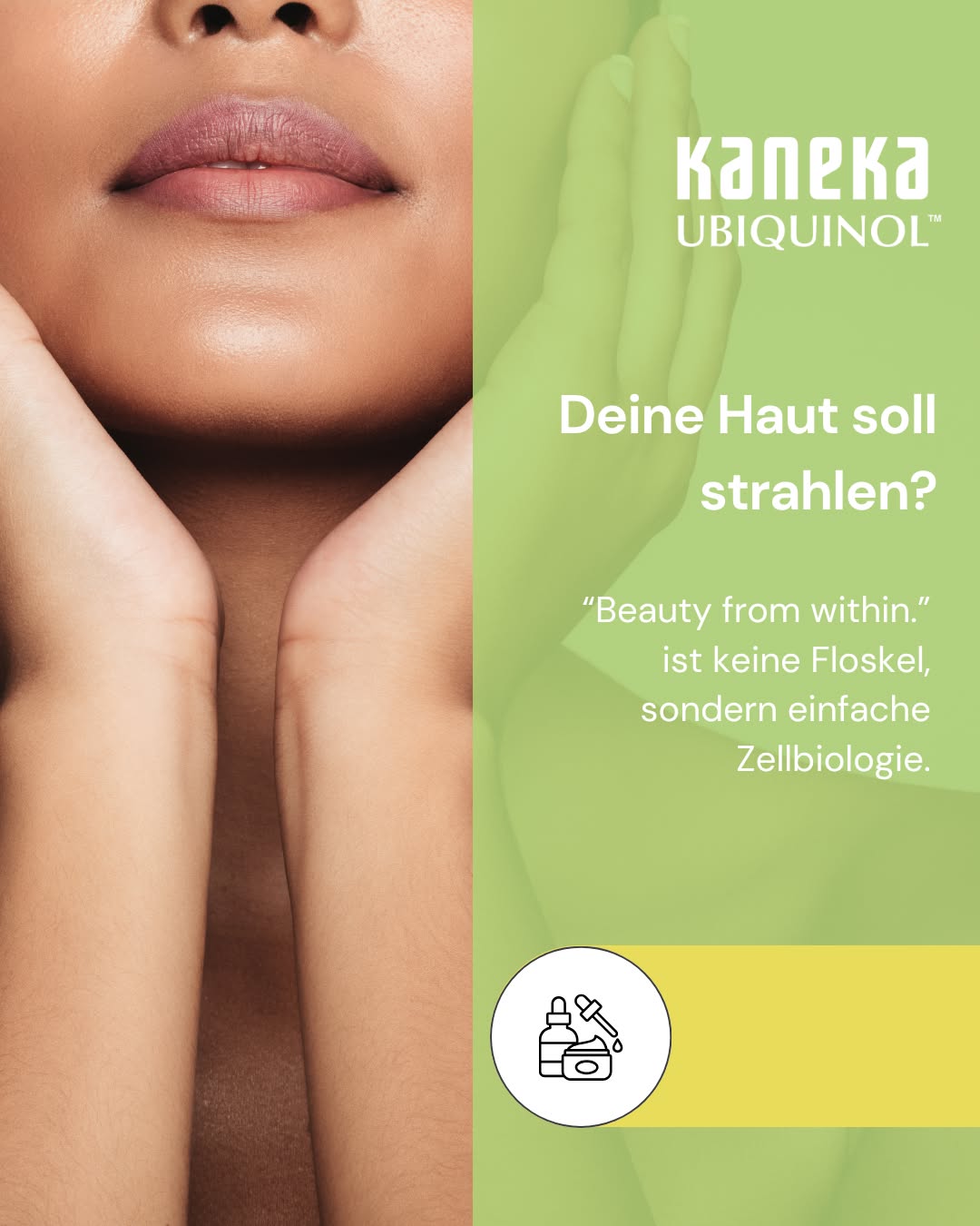 “Beauty from within.” ist keine Floskel, sondern einfache Zellbiologie. 🔬 
 
Gesunde, strahlende Haut ist ein weniger oberflächliches Thema, als man denkt. Sie ist nämlich das sichtbare Ergebnis dessen, was in deinen Zellen passiert. Hautzellen haben einen der höchsten Energiebedarfe im Körper, da sie sich ständig erneuern, Schäden reparieren und den Organismus nach außen schützen. All das erfordert ATP, welches in deinen Mitochondrien produziert wird. ⚡ 
 
Gleichzeitig ist die Haut täglich oxidativem Stress ausgesetzt – durch UV-Strahlung, Umwelteinflüsse, Stress und Schlafmangel. Freie Radikale greifen Zellmembranen an und beschleunigen Prozesse, die sich langfristig im Hautbild zeigen. 
 
Hier wirkt Ubiquinol, die aktive Form von Coenzym Q10 auf zwei Ebenen. Als Bestandteil der Atmungskette unterstützt es die mitochondriale Energieproduktion. Als fettlösliches Antioxidans ist es direkt in der Zellmembran aktiv und hilft, freie Radikale abzufangen, bevor sie Schaden anrichten können. 🛡️ 

Mit zunehmendem Alter sinkt allerdings die körpereigene Ubiquinol-Produktion. Genau dann, wenn Hautzellen mehr Unterstützung bei Regeneration und Schutz brauchen. 

Wie unterstützt ihr eure Haut? 👇 

#Ubiquinol #CoenzymQ10 #Glow #Hautgesundheit #SkincareFromWithin #Zellenergie #Mitochondrien #Antioxidantien #OxidativerStress #Longevity #Biohacking #Supplements #Zellgesundheit #GesundeLeben #FemaleBiohacking