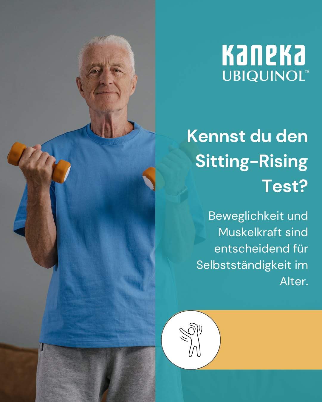 Setz dich auf den Boden und steh wieder auf. Ohne Hände oder die Knie abzustützen. 💪 Der sogenannte Sitting-Rising-Test wird in der Longevity-Forschung genutzt, um funktionelle Fitness einzuschätzen: Du startest mit 10 Punkten, für jede Hand oder jedes Knie, das du zur Unterstützung brauchst, wird ein Punkt abgezogen. Der Test hängt eng mit Beweglichkeit im Alter zusammen. Jede Bewegung fordert Muskelzellen, die zu den aktivsten Energieverbrauchern im Körper gehören. Sie benötigen laufend produziertes ATP aus den Mitochondrien. Ubiquinol, die aktive Form von Coenzym Q10, ist Teil dieses Prozesses und wirkt gleichzeitig als Antioxidans gegen den oxidativen Stress, der bei Belastung zusätzlich entsteht. 
Wie viele Punkte hättest du dir gerade für den Test gegeben? Schreib's in die Kommentare 👇 
#Ubiquinol #CoenzymQ10 #SittingRisingTest #FunktionelleFitness #Muskelzellen #Mitochondrien #Mobility